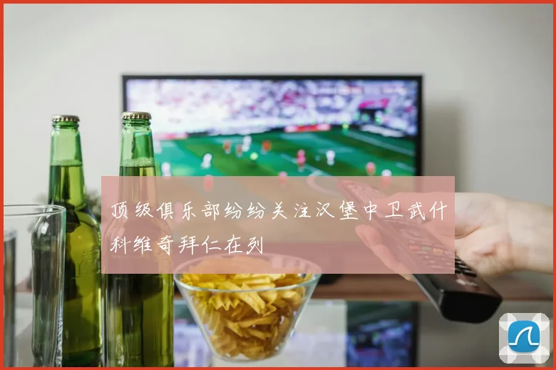 顶级俱乐部纷纷关注汉堡中卫武什科维奇拜仁在列