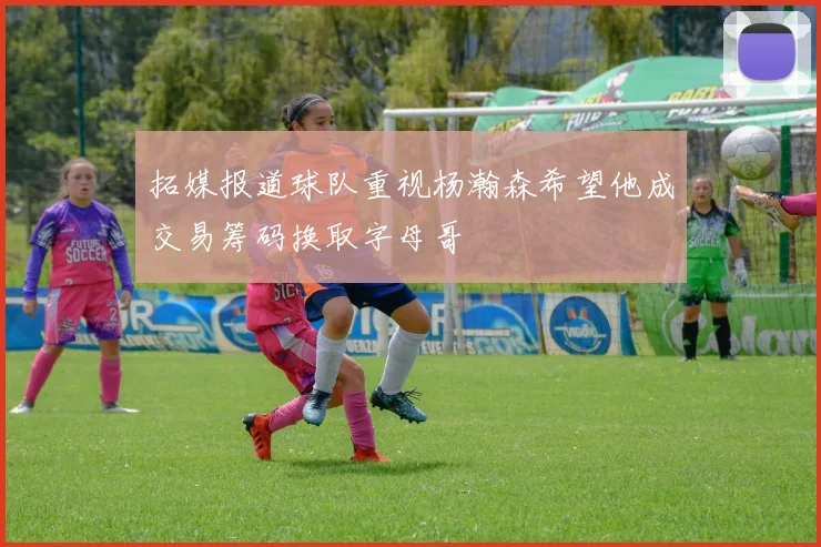 拓媒报道球队重视杨瀚森希望他成交易筹码换取字母哥