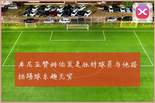 库尼亚赞姆伯莫是独特球员与他搭档踢球乐趣无穷